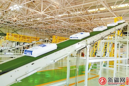 聚焦乌鲁木齐高质量发展 科技创新激活发展动能