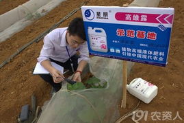 英雄帖——北京星朋公司诚邀技术开发精英加盟