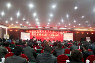 山东鼎基信息技术 专业驱动，助力临沂企业网站建设与全网运营