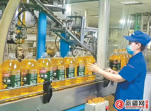 乌鲁木齐食品企业强化生产保障供应与技术创新