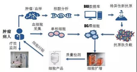 煜森资本 华大吉诺因携肿瘤新生抗原诱导CTL技术亮相AACR，开启免疫治疗新篇章