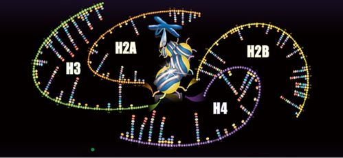 聚焦蛋白质组学技术开发与应用，景杰生物完成5.3亿元B轮融资以加速技术推广